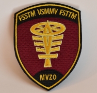 Armee XXI Badge (ohne Klett)